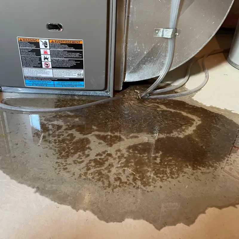 Appliance Leak Cleanup in Alachua, FL